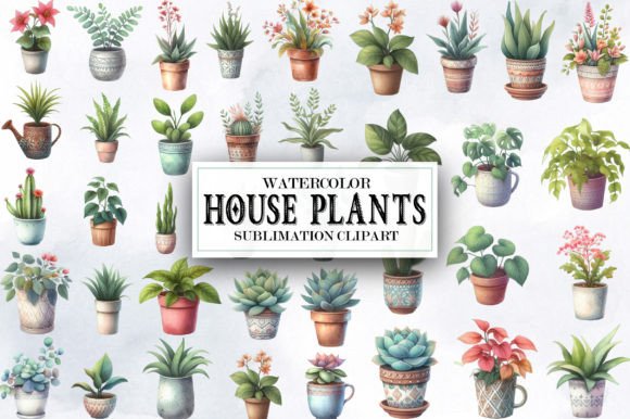 Download Watercolor House Plants Clipart Bundle - Clipart bundle Collection
