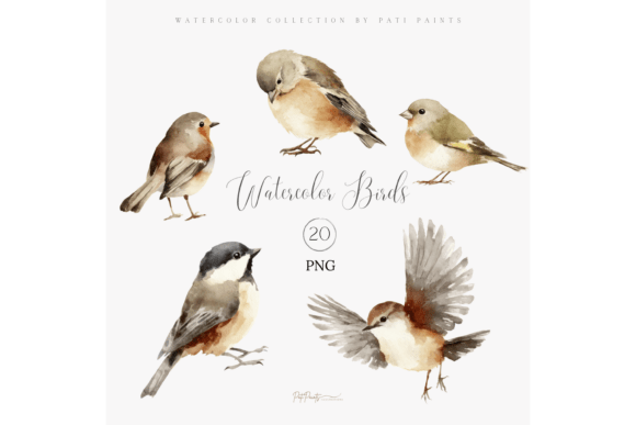 Download Watercolor Bird Clipart Bundle - Clipart bundle Collection