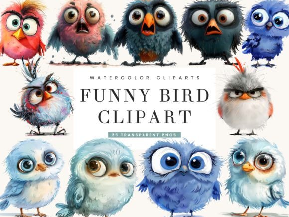 Download Watercolor Funny Bird Clipart Bundle - Clipart bundle Collection