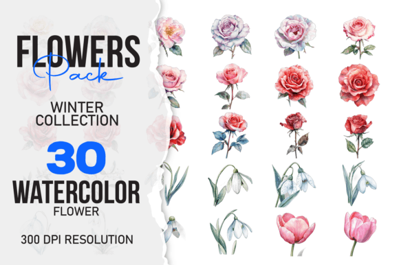 Download Wild Floral Clipart Watercolor Flowers S - Premium Resources