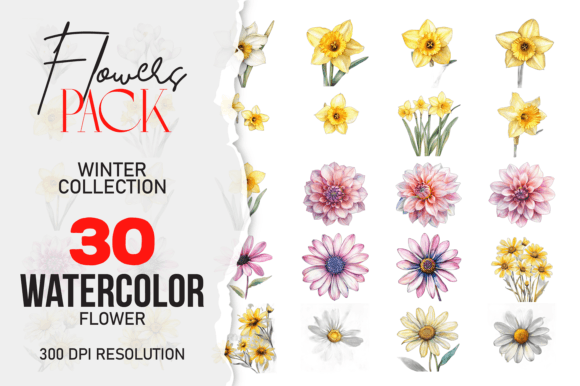 Download Wild Floral Clipart Watercolor Flowers - Premium Resources