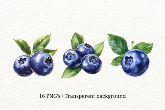 Download 16 Blueberry PNG Clipart Set - Blueberry png Collection